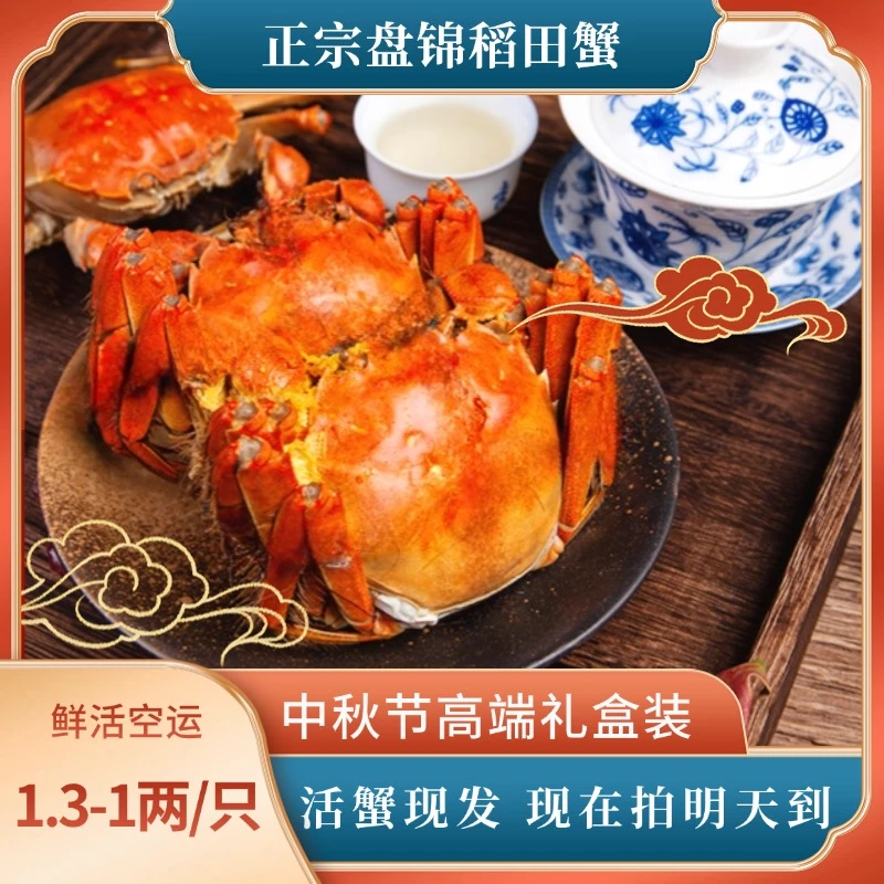 公母活蟹《盘锦宸阳精品河蟹》1.3-1两（30-26只）各1.5斤 空运次日达
