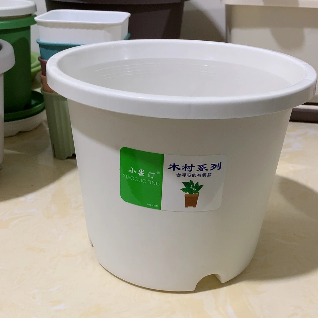 小果汀20口径白6个无托