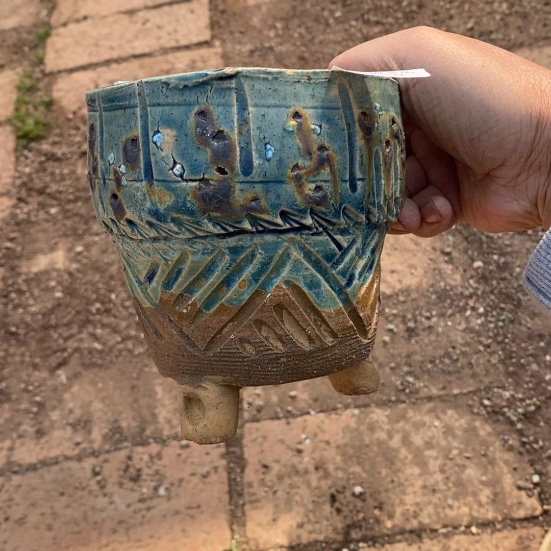 岁**水58号多肉盆一个呀