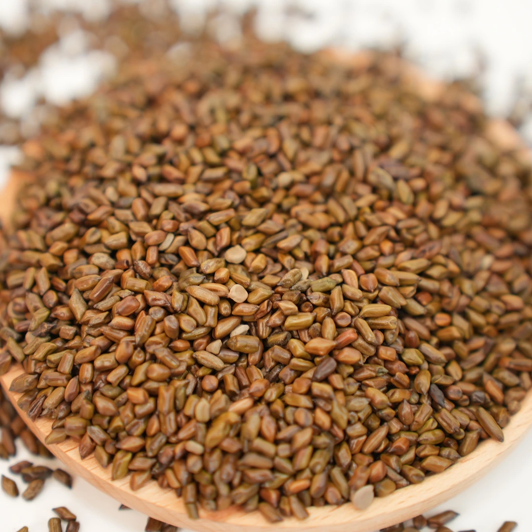 决明子泡茶决明子茶正品可炒熟决明子茶