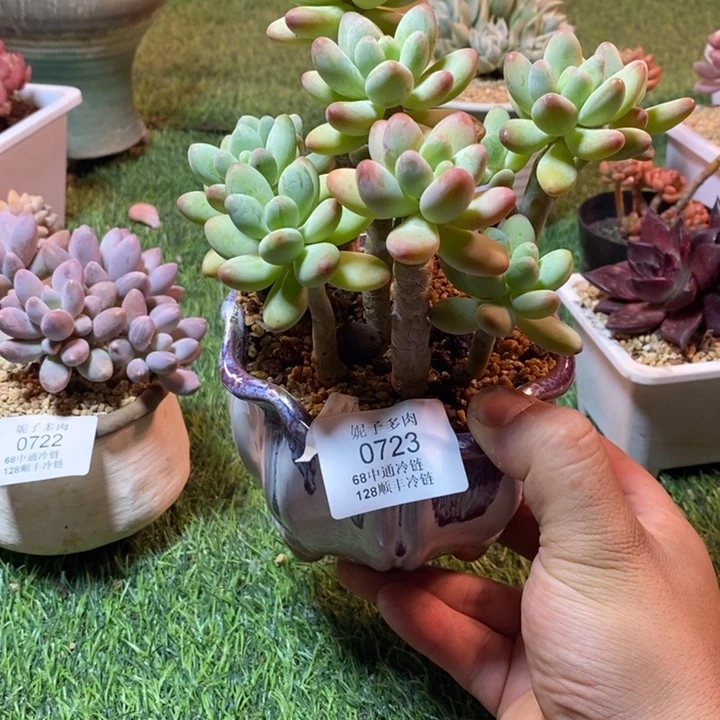 0723啊啊啊啊啊啊啊啊啊