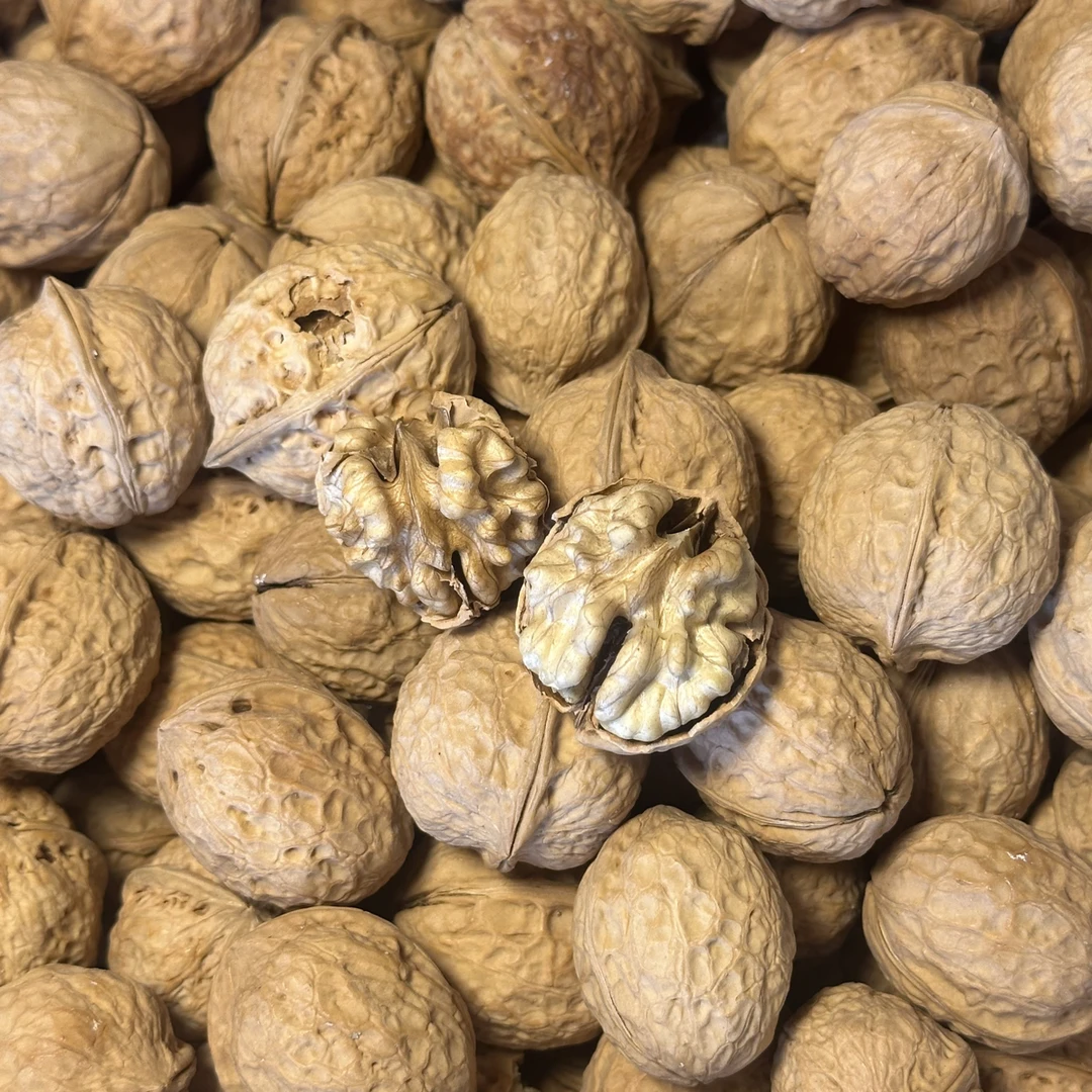【中秋福利】大理漾濞鲜核桃