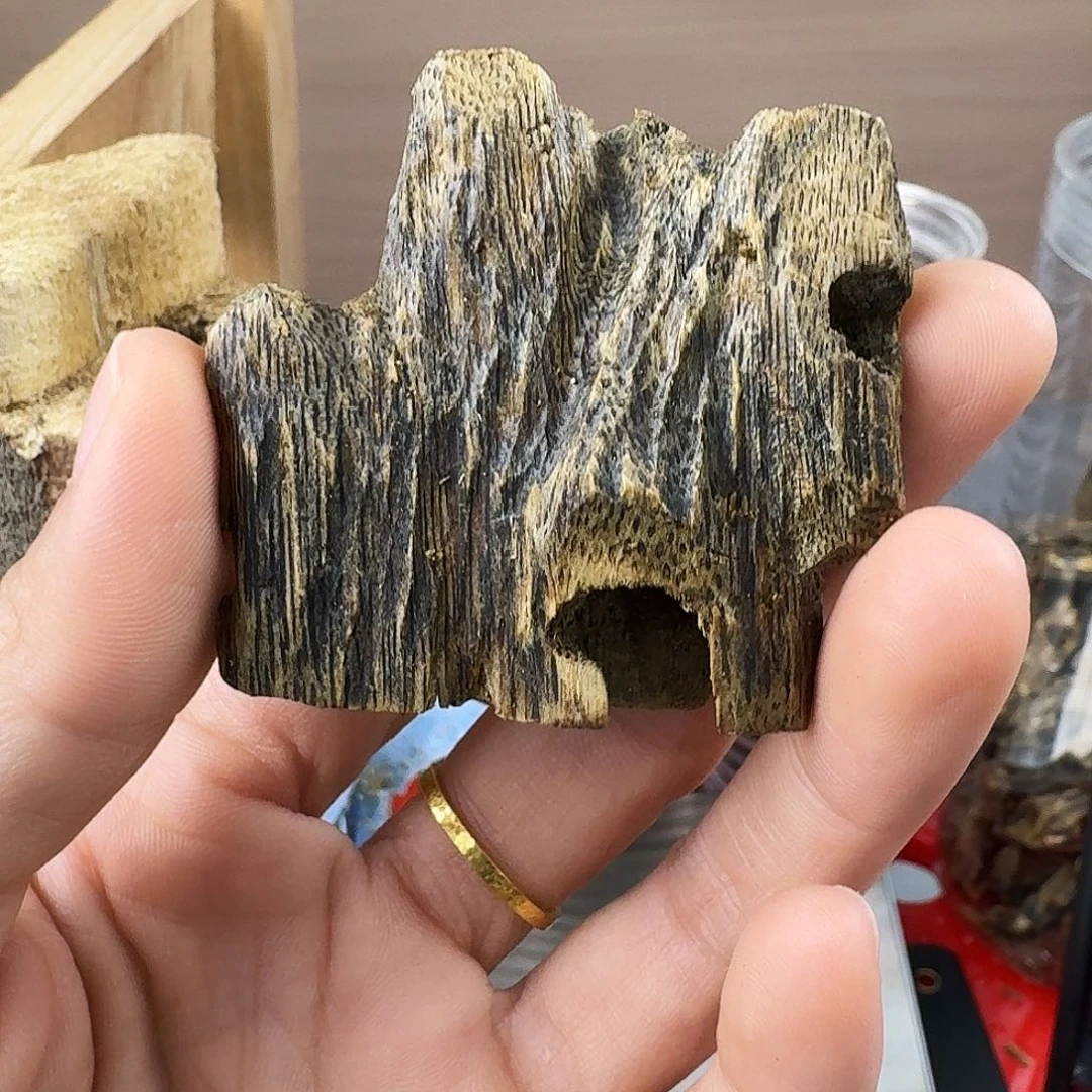 香料绿奇楠虫漏陆河9克