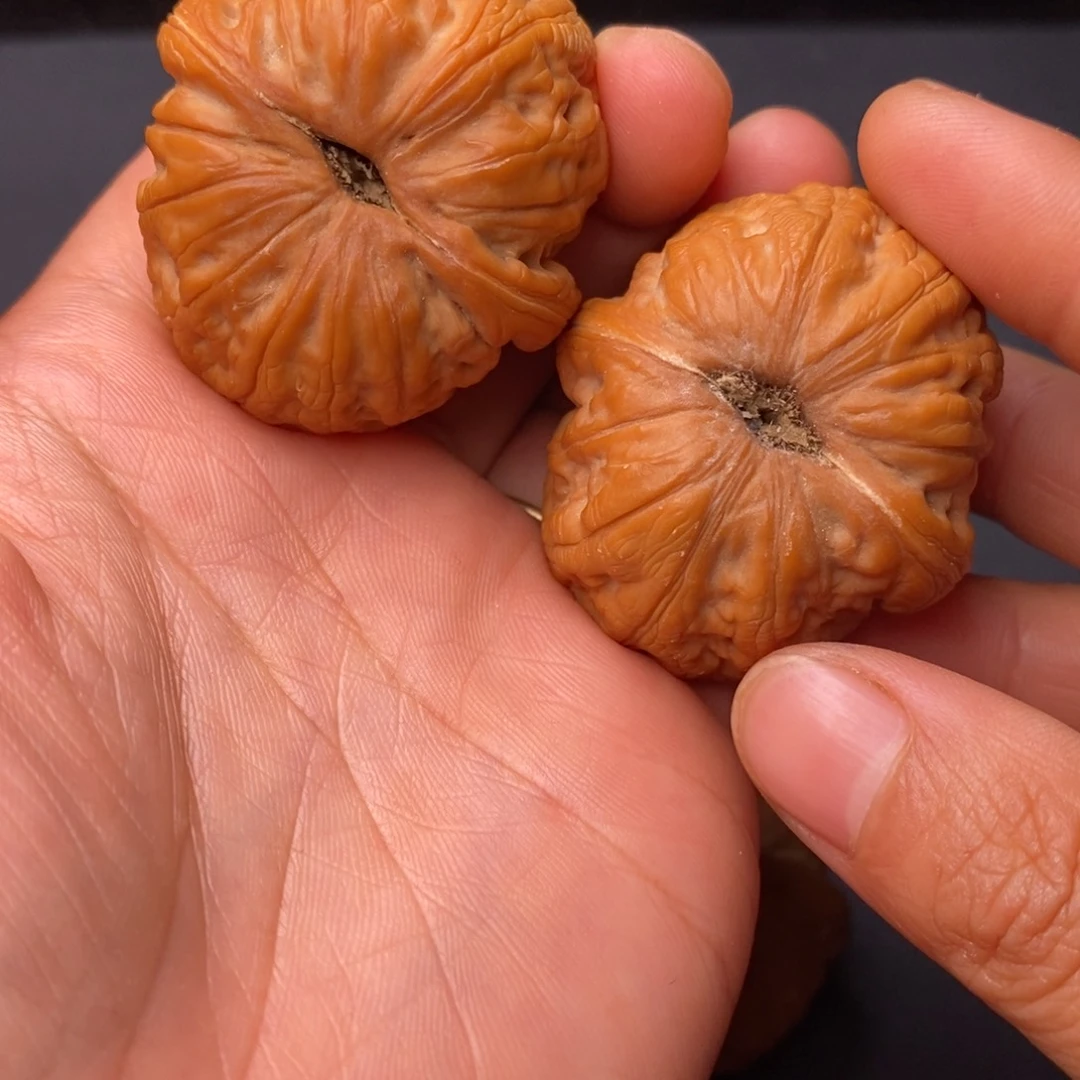 把件文玩核桃秦岭野生植物资源