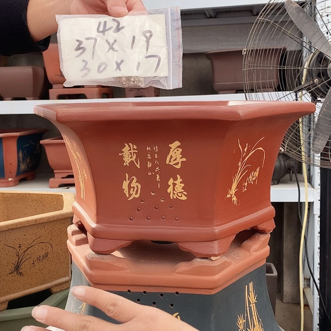 紫砂花盆紫砂花盆