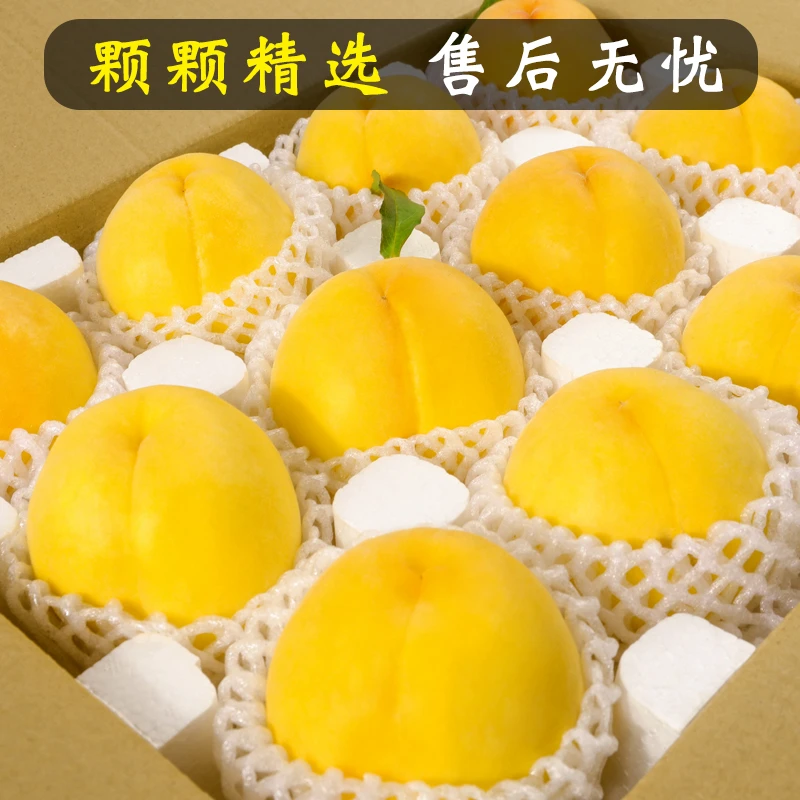 【现摘现发】正宗蒙阴黄桃黄金蜜新鲜水果香甜脆爽桃子 锦绣黄桃