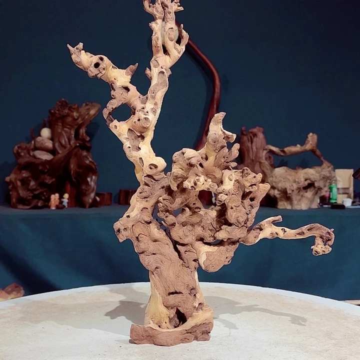 黑果木龙***笑172金丝红木羊蹄甲半成品