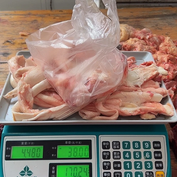 广西土耕马马肉、沙姜炒马肉中国大陆