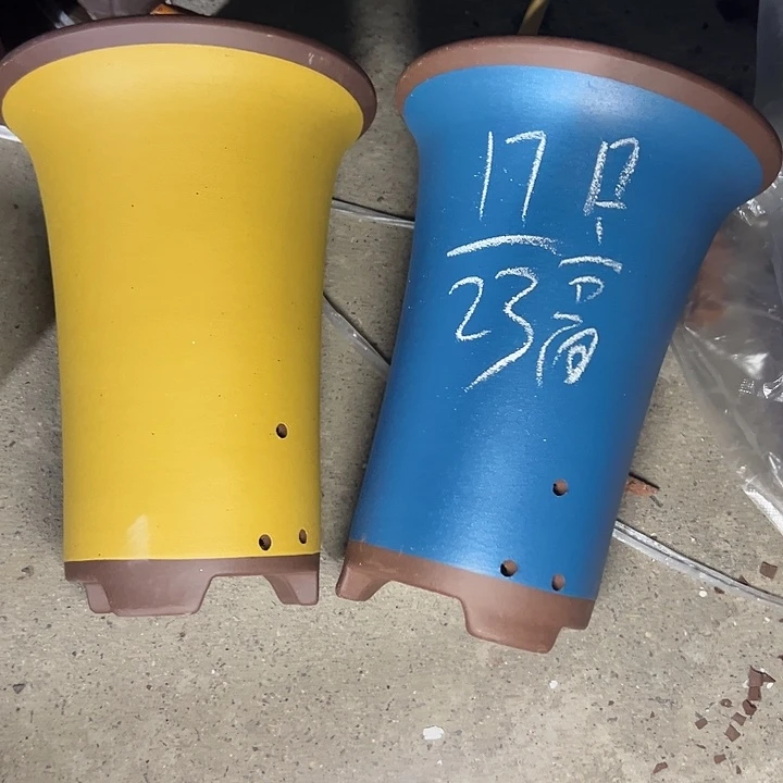 周深周深周深周深周深