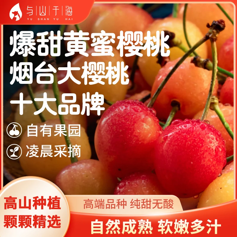 (张书记助农)[黄蜜-纯甜】山东大樱桃甜新鲜水果2斤22-24mm顺丰