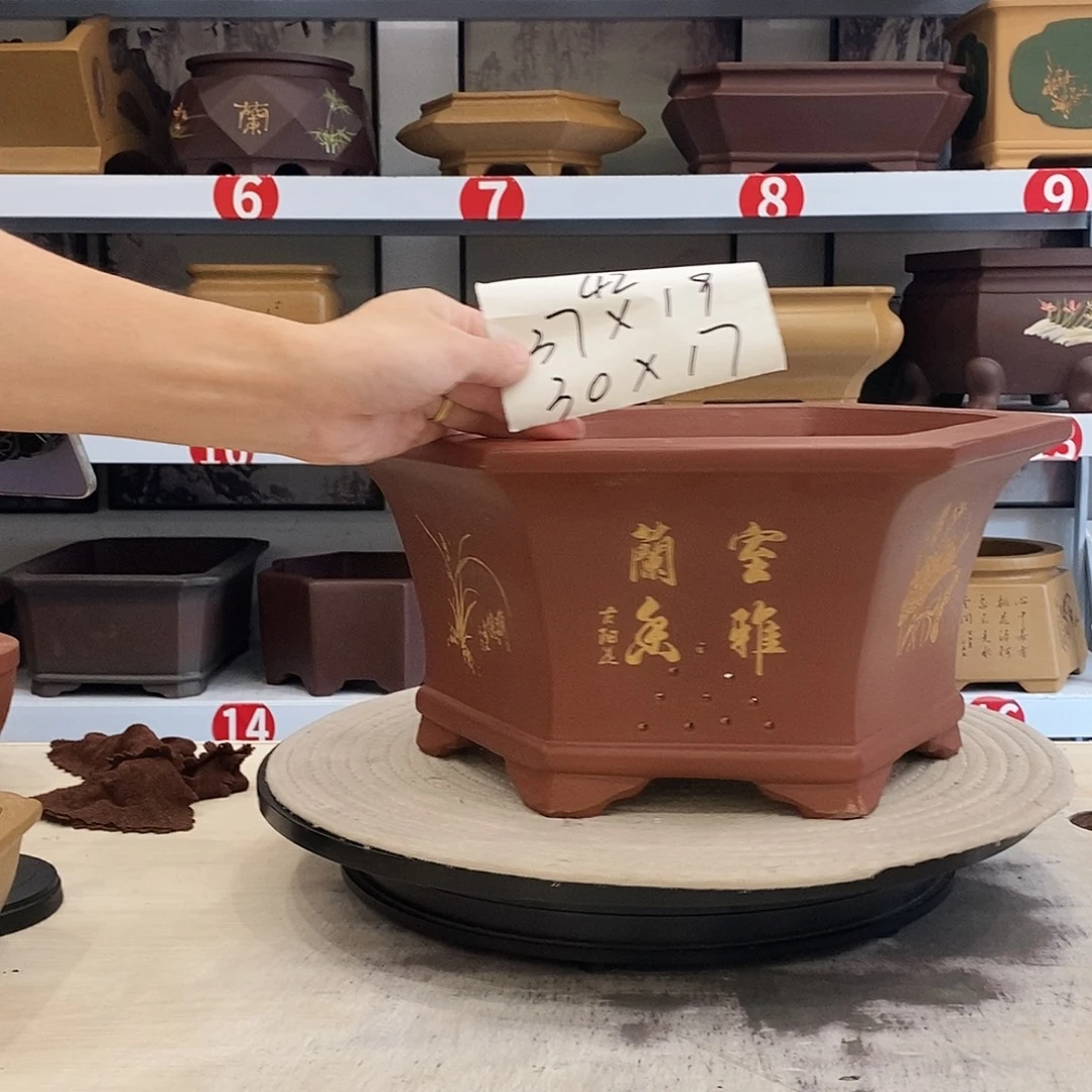 紫砂花盆紫砂花盆