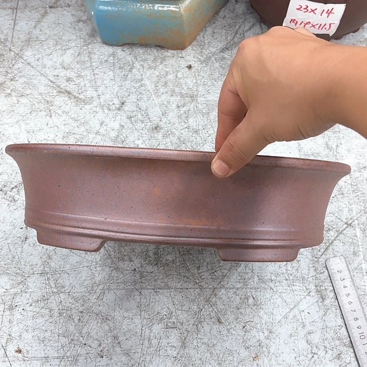 紫砂花盆我的小可爱小