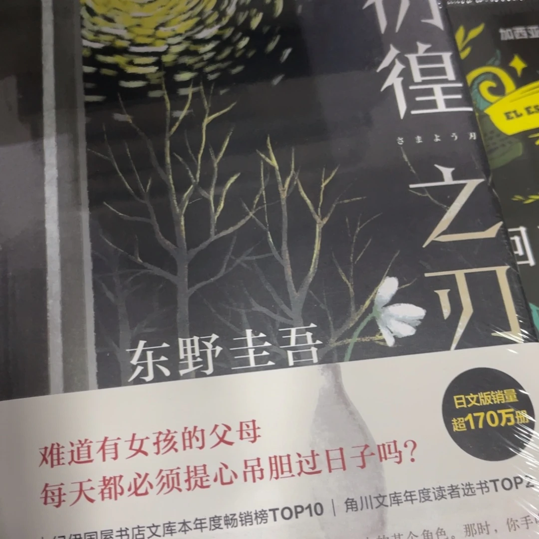 彷徨之刃精装一个