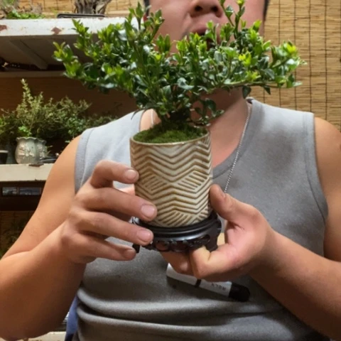 红陶一物一拍所见即所得135