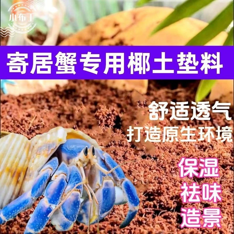 寄居蟹椰土免洗专用爬虫用具鱼缸底砂造景水草底沙石