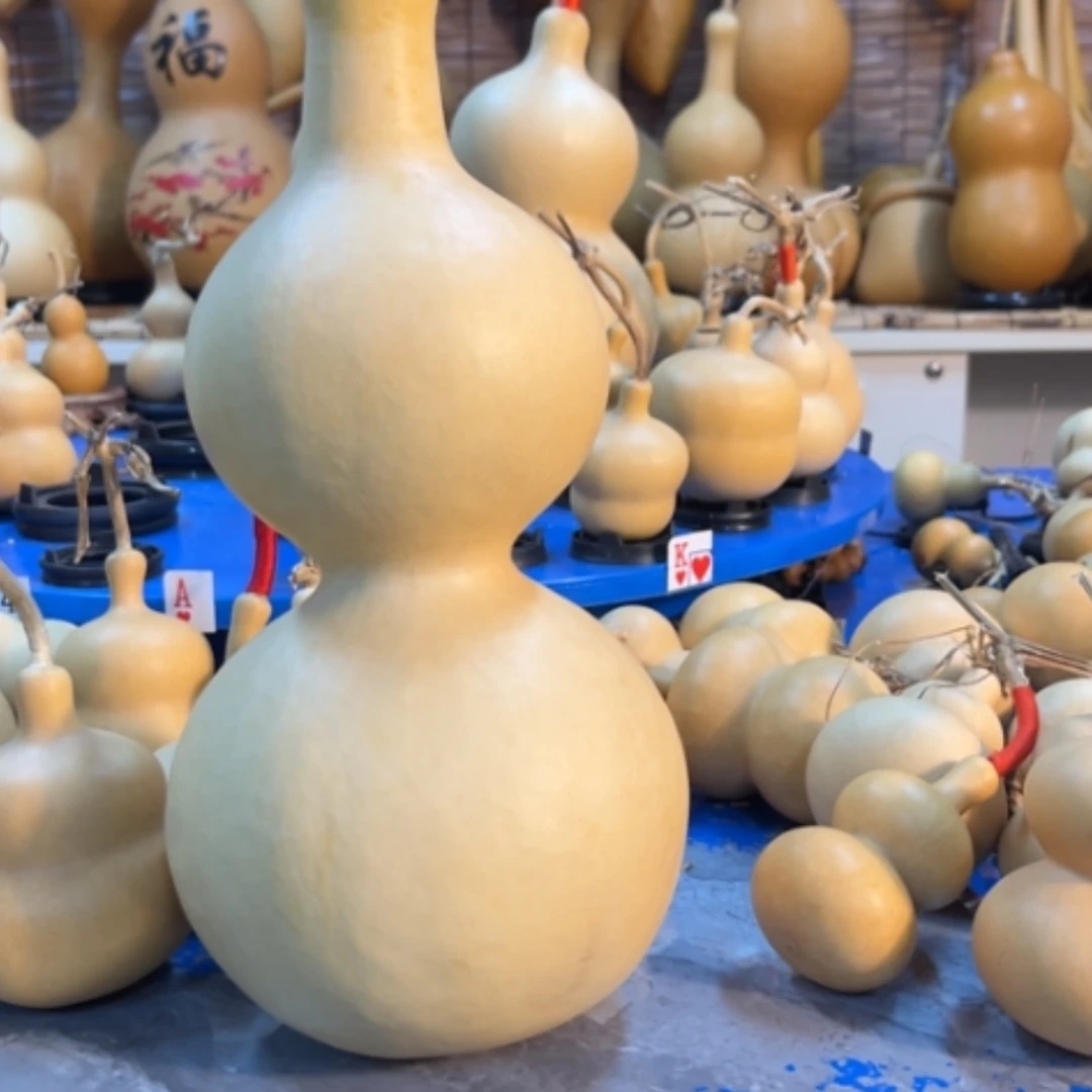 【闪购商品】旅****鱼他他他他他他他他他他他他