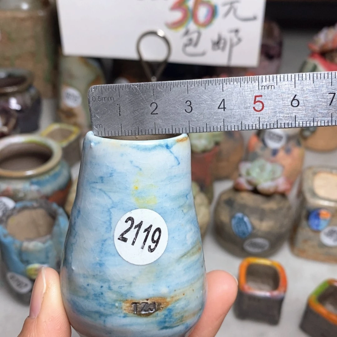 花盆拍5送一个小礼物