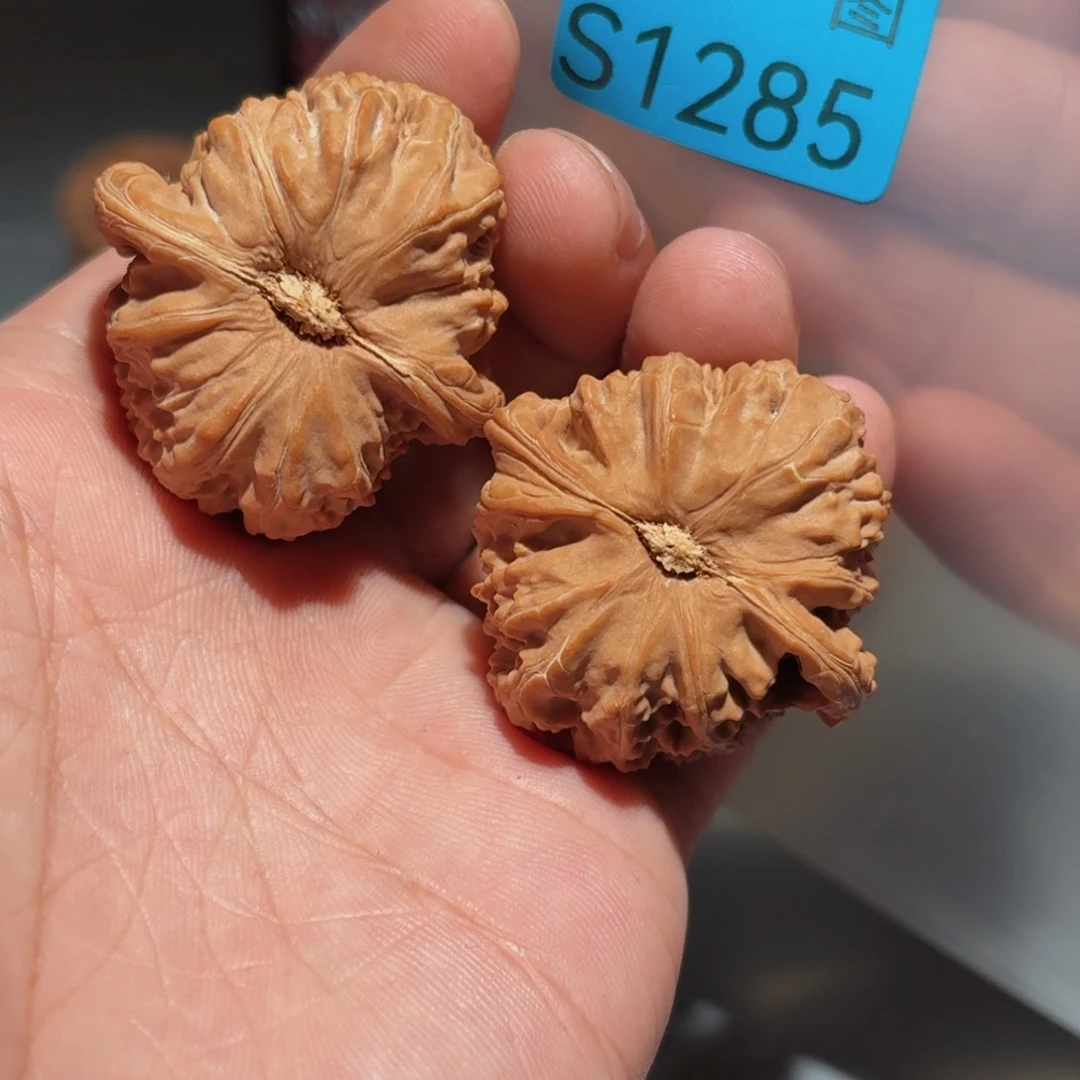 文玩核桃把件白狮子