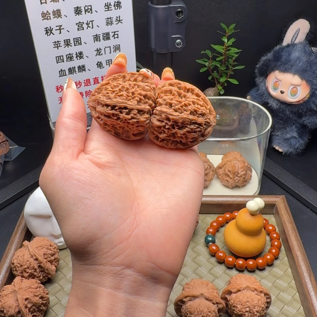 吊坠龙脊菩提全家福南疆