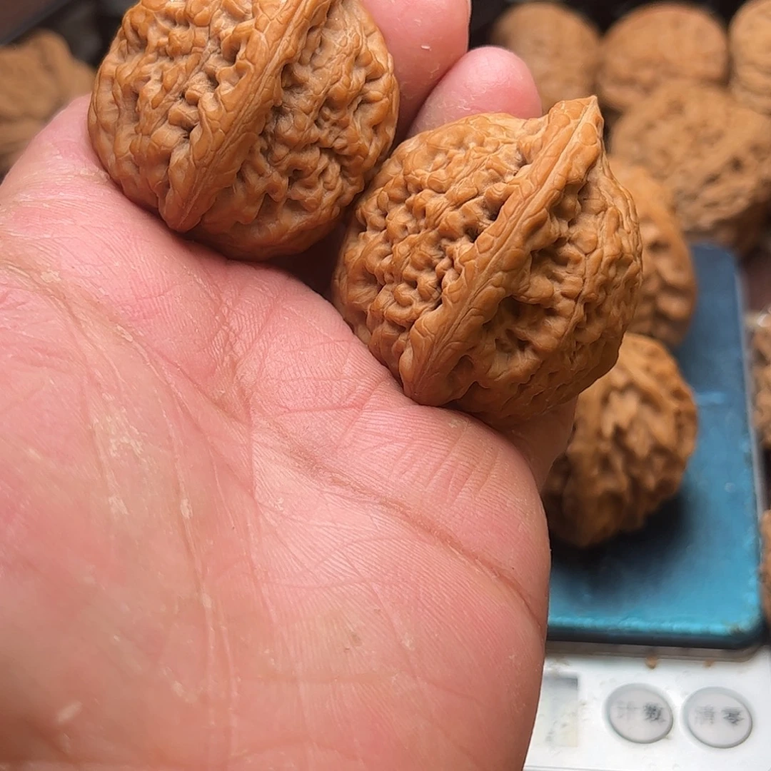 ****灰文玩核桃老树金公子