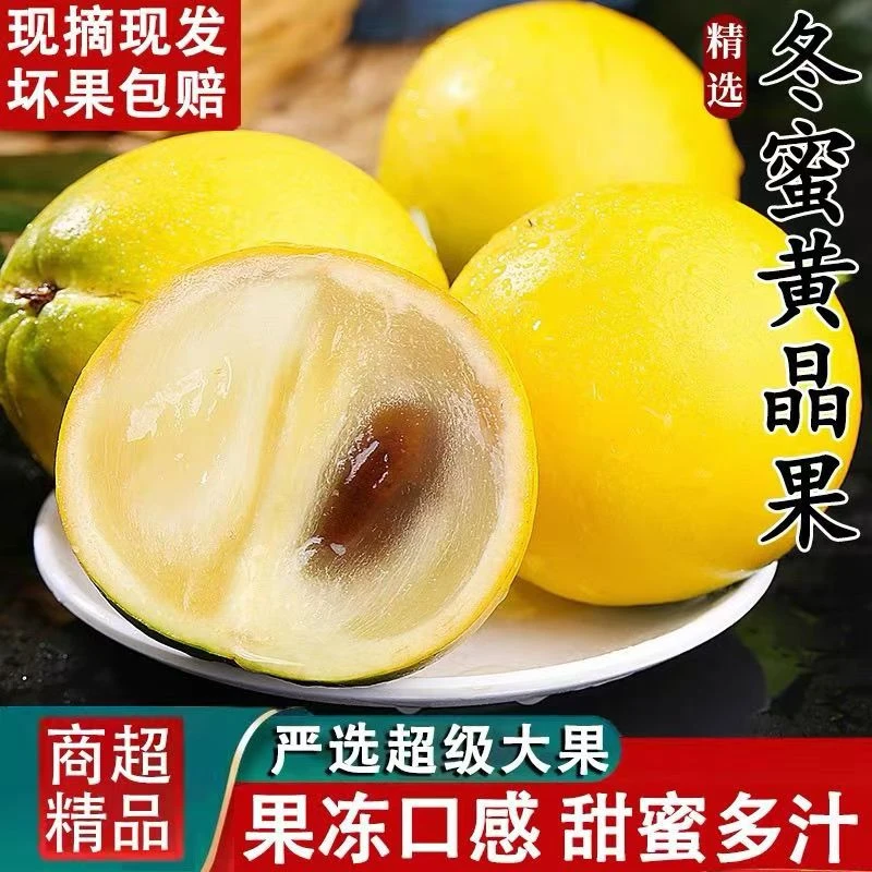 冬蜜黄晶果新鲜现摘当季黄金亚美果蛋黄果稀有罕见热带水果