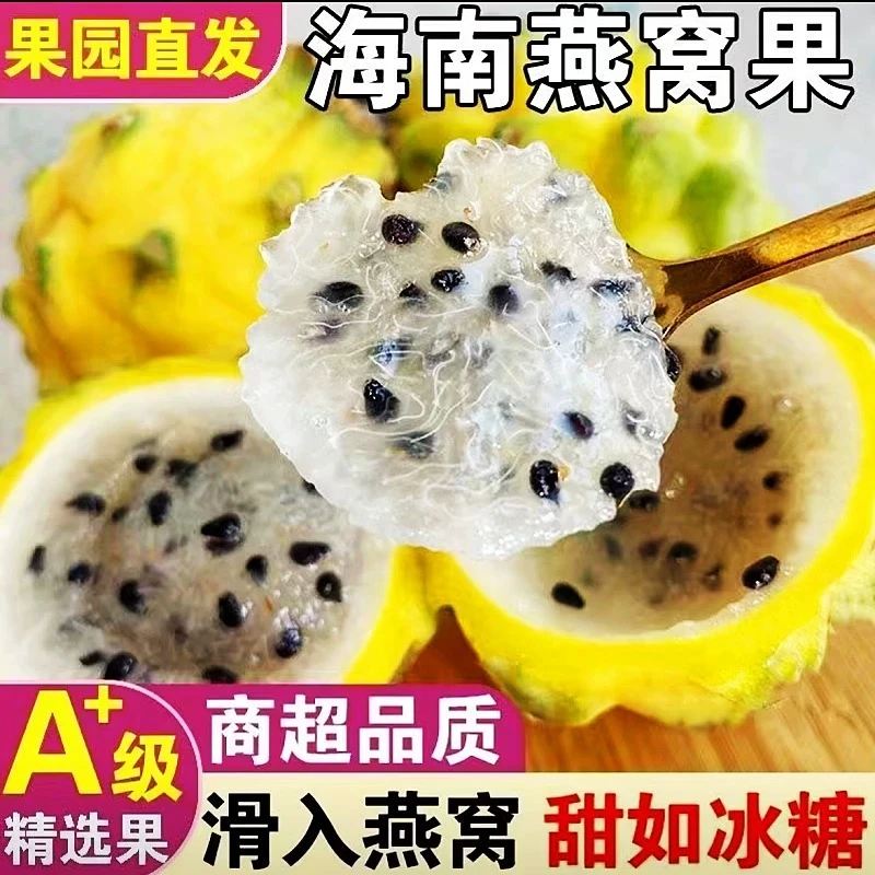 【顺丰A级果】海南燕窝果麒麟果黄火龙果精品香甜新鲜应季水果包邮