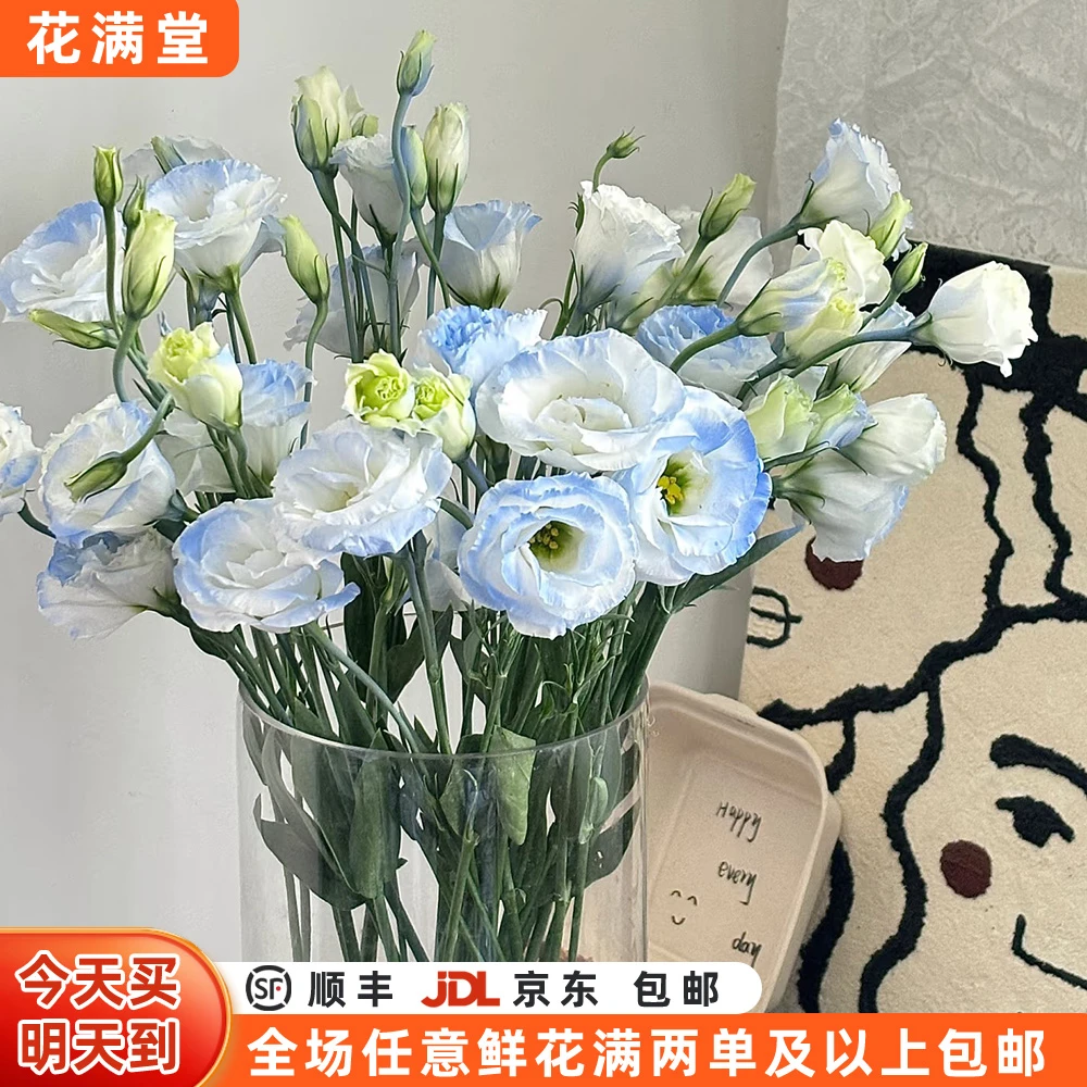 七夕特价【次日达.碎冰蓝洋桔梗一把】家居花·鲜切花·两单鲜花顺丰京东包邮次日达·基地直发·批发·鲜花次日达