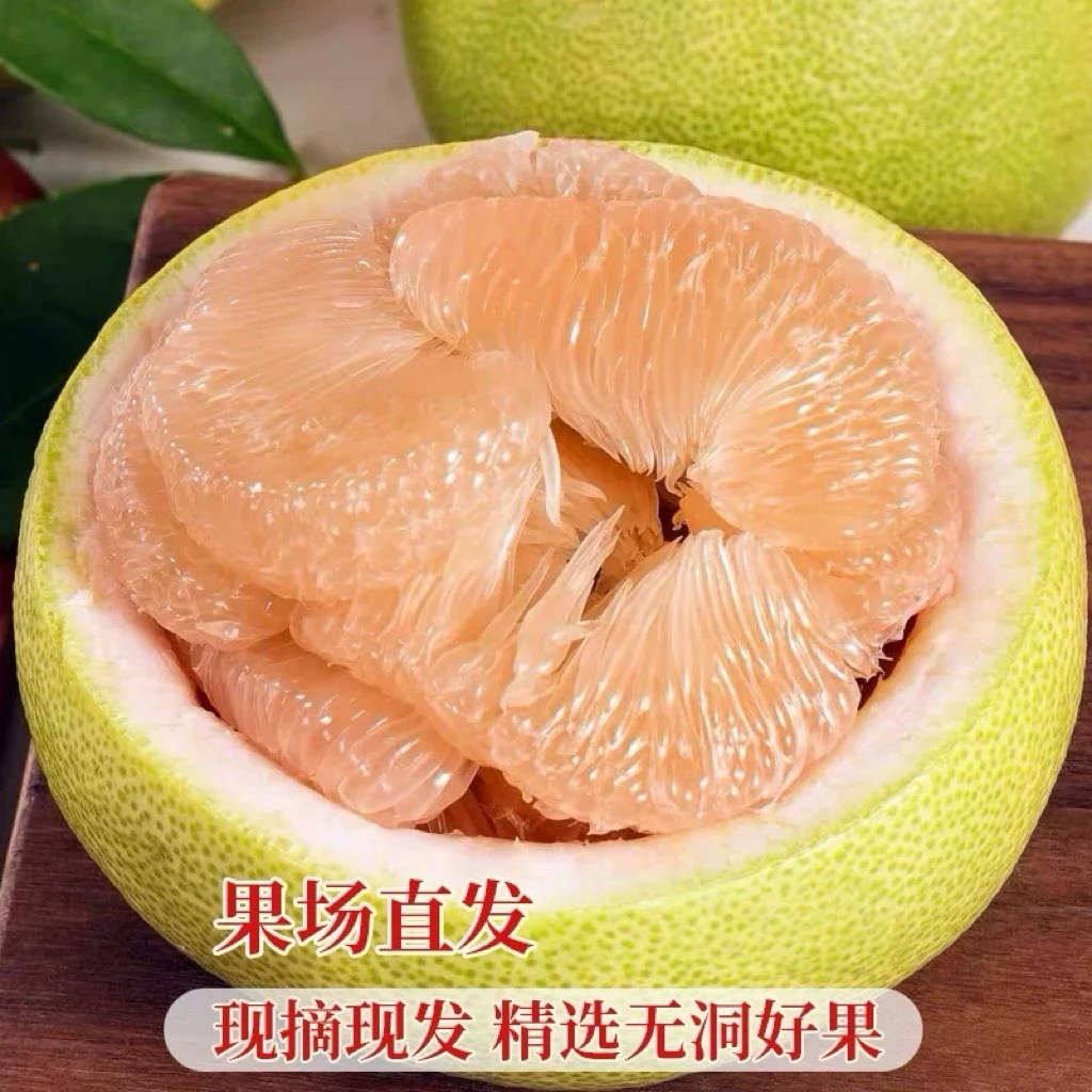 正宗文旦柚福建仙游度尾文旦柚老树果场现摘新鲜应季水果柚子