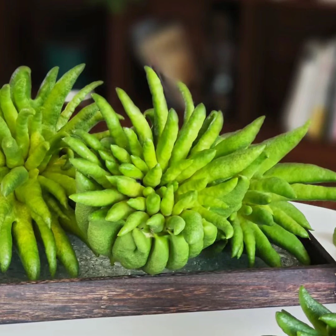 新鲜佛手柑天然香薰家用鲜花云南基地直发顺丰