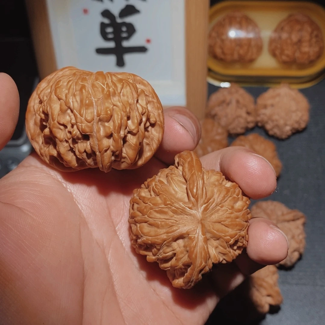 向***。把件文玩核桃44.5蝴蝶磨