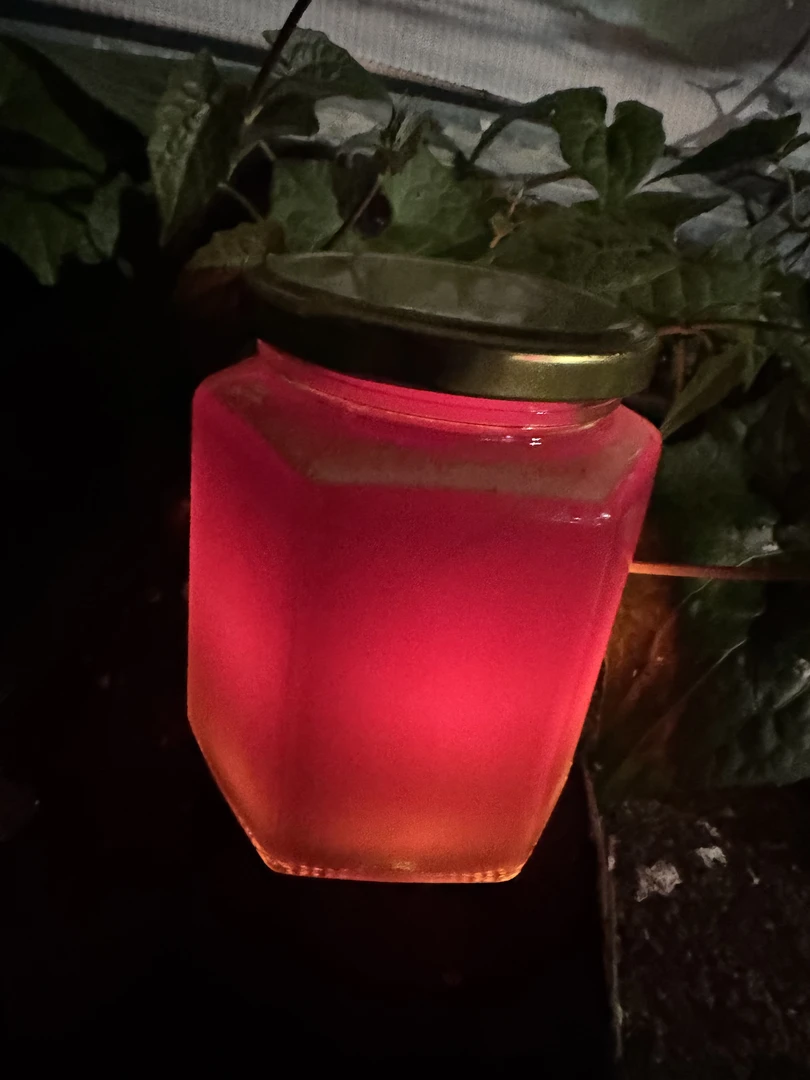 原始森林龙血树血蜜（顺丰包邮）