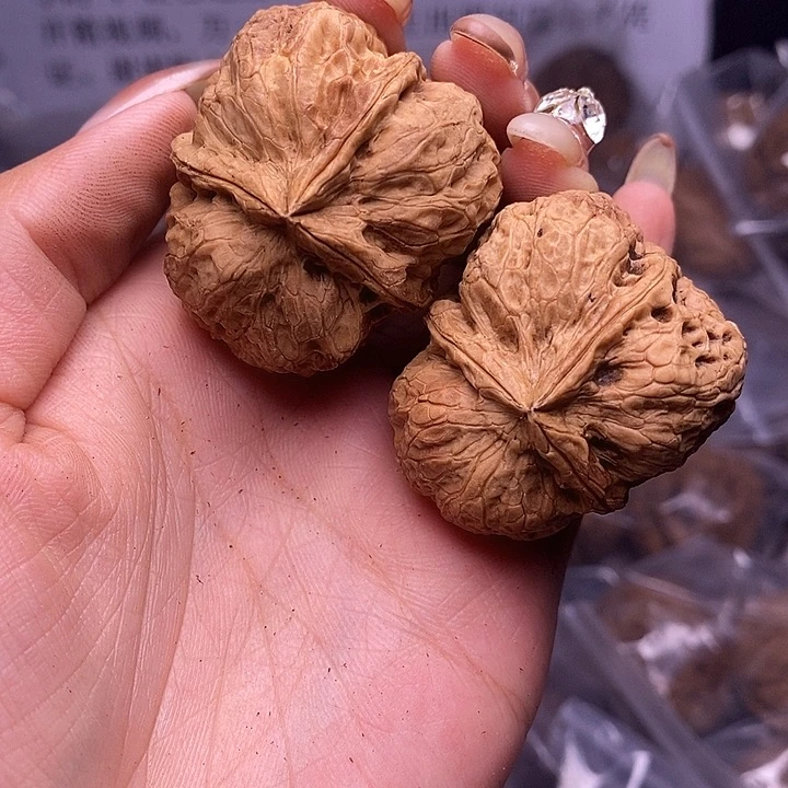 核桃云南野生铁核桃55号40mm