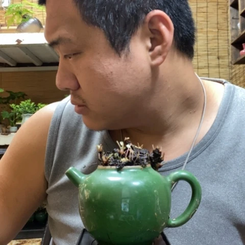 红陶一物一拍所见即所得188
