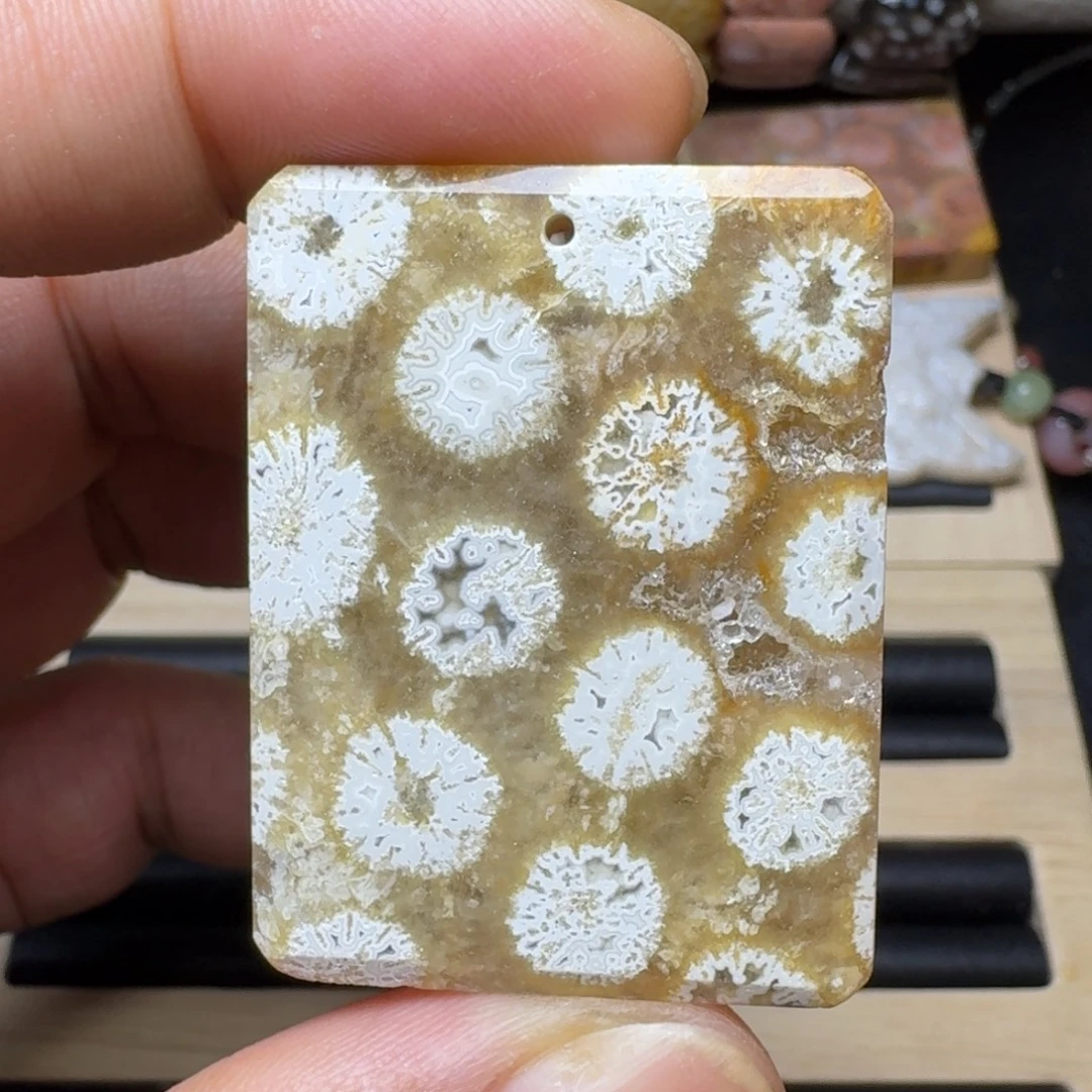 未镶嵌纯天然色有机玉石保真色硅化玉