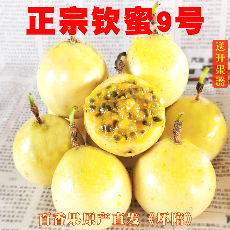 广西黄金百香果钦密9号新鲜现摘纯甜味天然种植营养饱满送开果器