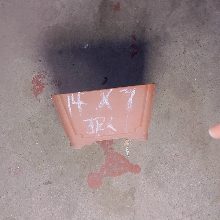 周深周深周深周深周深