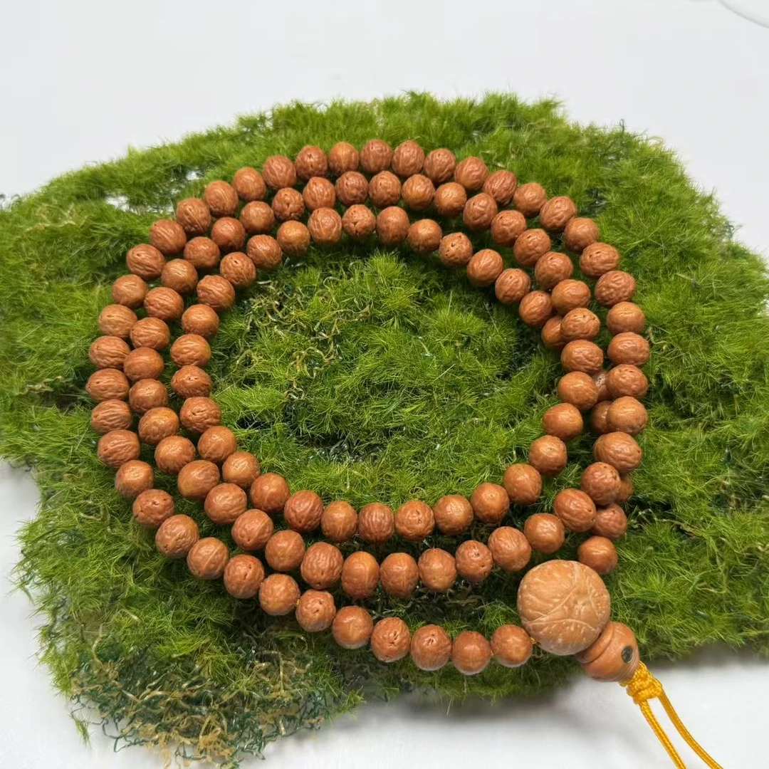 尺寸7.5mm左右“国产小凤眼”酸枣核多圈一条《小鱼文玩》B054