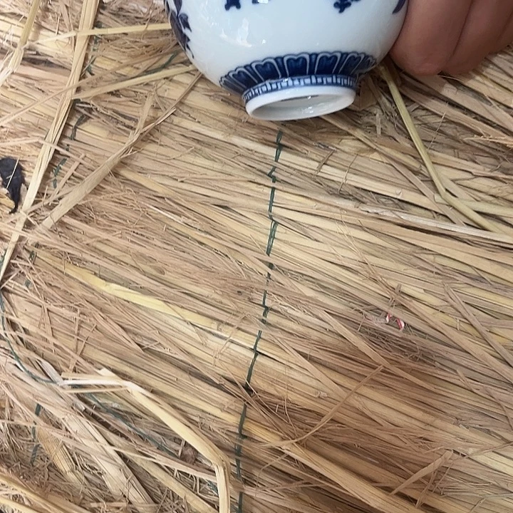 杯我们的确是一个很好的朋友