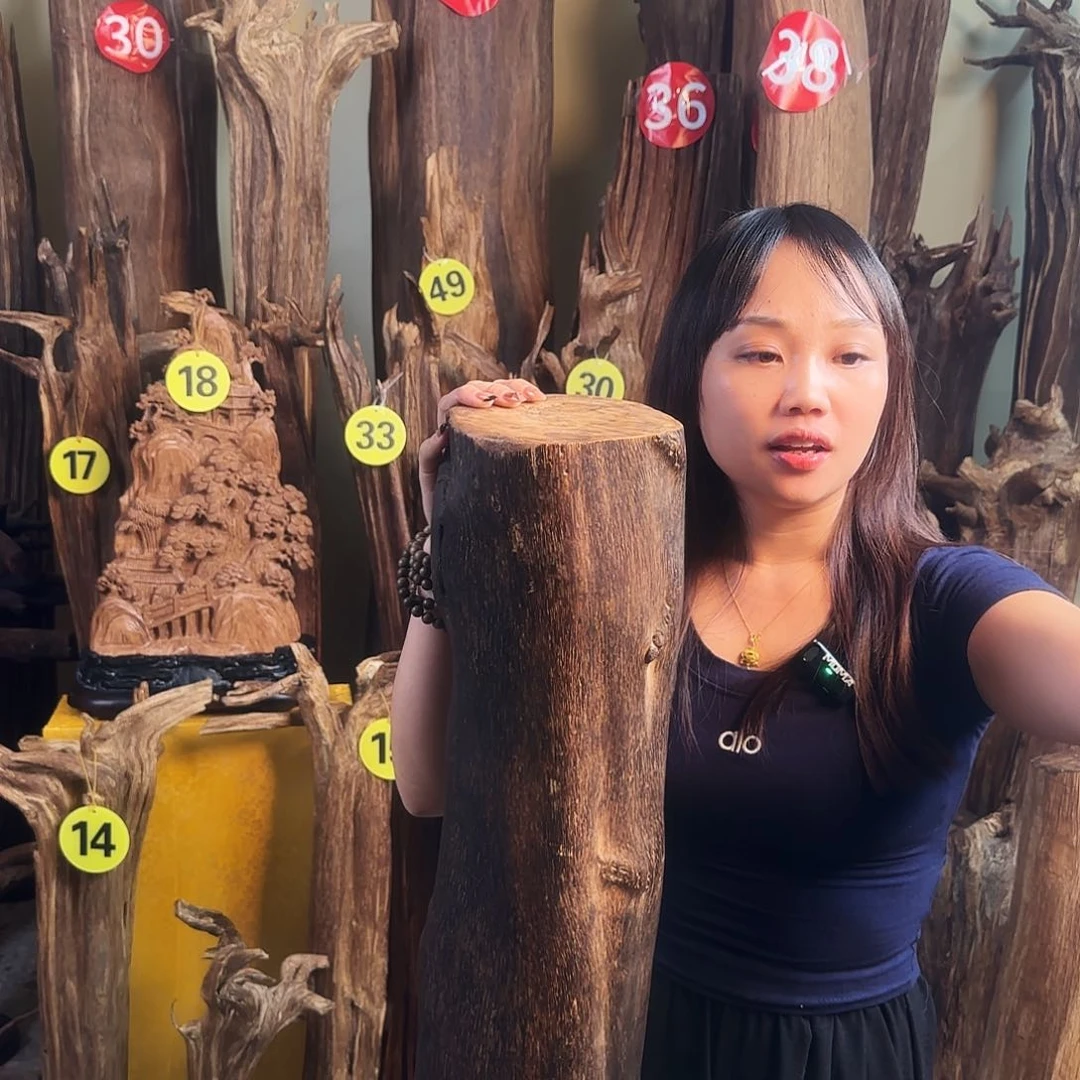 沉香碎屑沉香天然沉香原木原材料香料