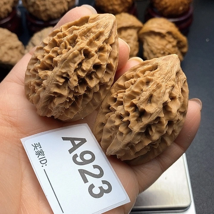 核桃老鼠3.7，高54克重47