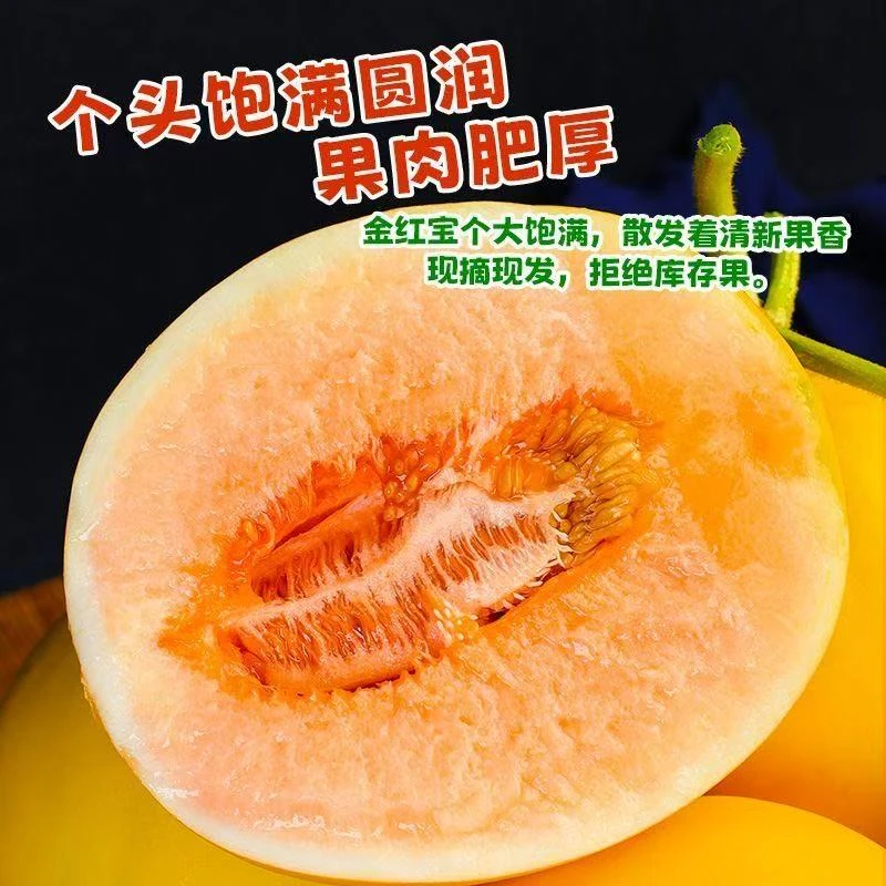 民勤蜜瓜带箱9-10斤沙漠甜瓜当季水果头茬鲜果产地直发