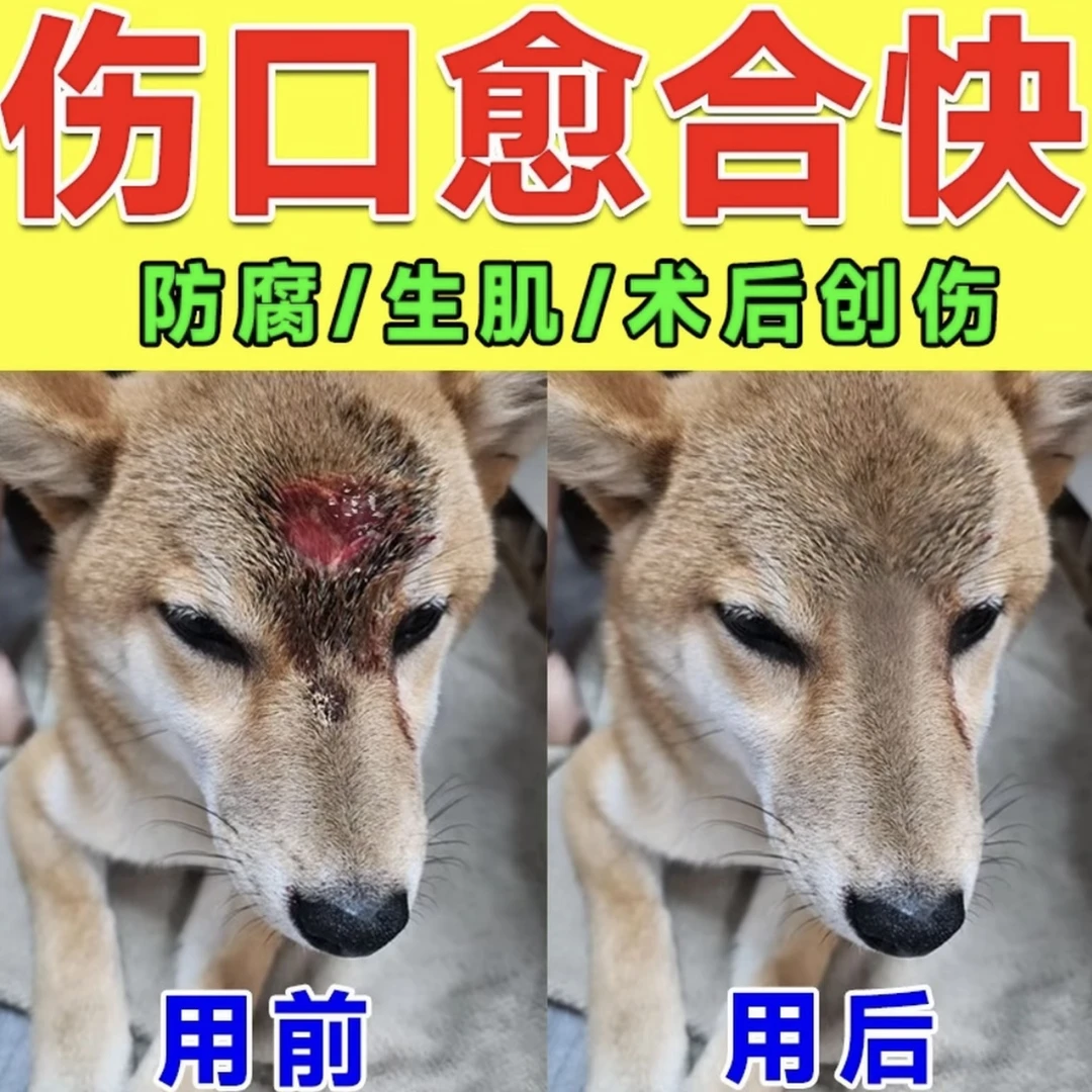 狗狗伤口俞合去腐生肌宠物猫化脓溃烂咬伤抓伤外用创伤喷剂