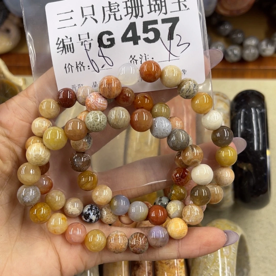 ****里硅化珊瑚（珊瑚玉）未镶嵌h