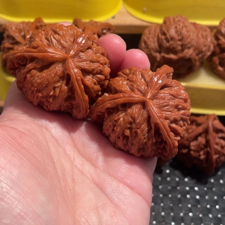 昌***企手串/手链核桃核桃核桃