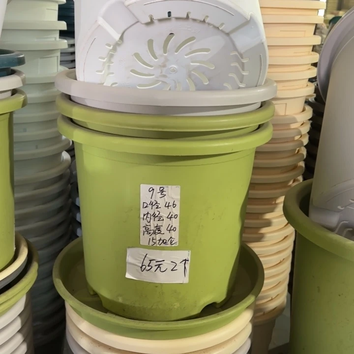 微瑕9#口径46无托果绿3个