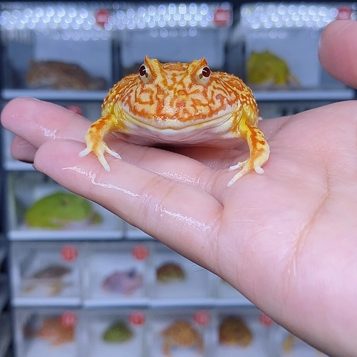 特价秒杀现货特价残