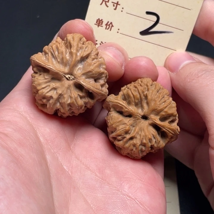 文玩核桃把件野牛37尺全品白茬2打底发