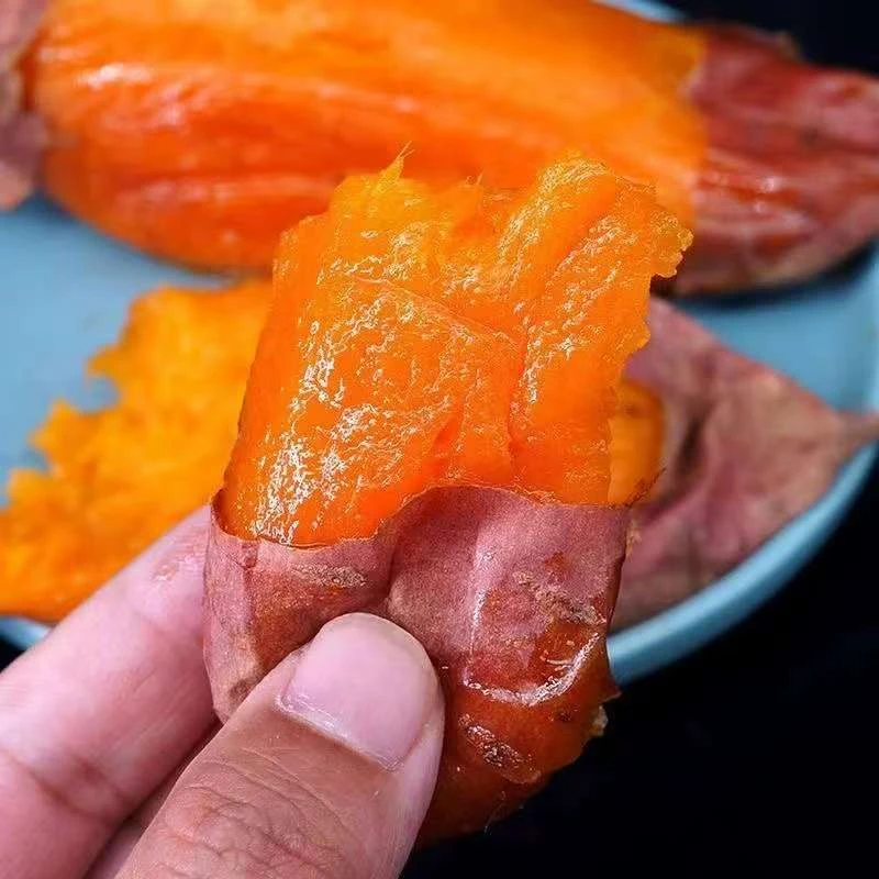 新年专场：新疆西瓜红 糖心蜜薯 软糯香甜可蒸可烤包邮