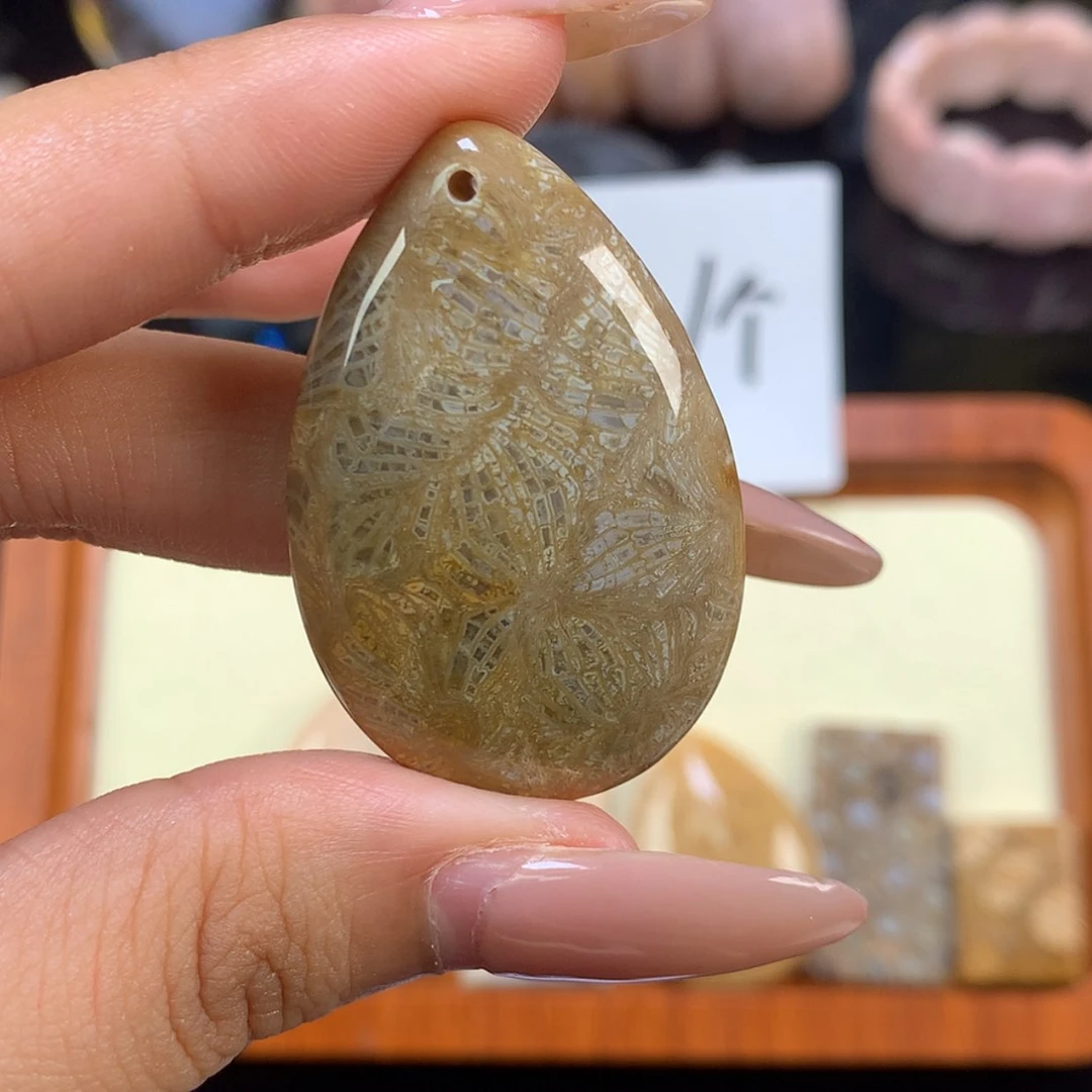 【闪购商品】颈饰未镶嵌硅化珊瑚（珊瑚玉）?***?