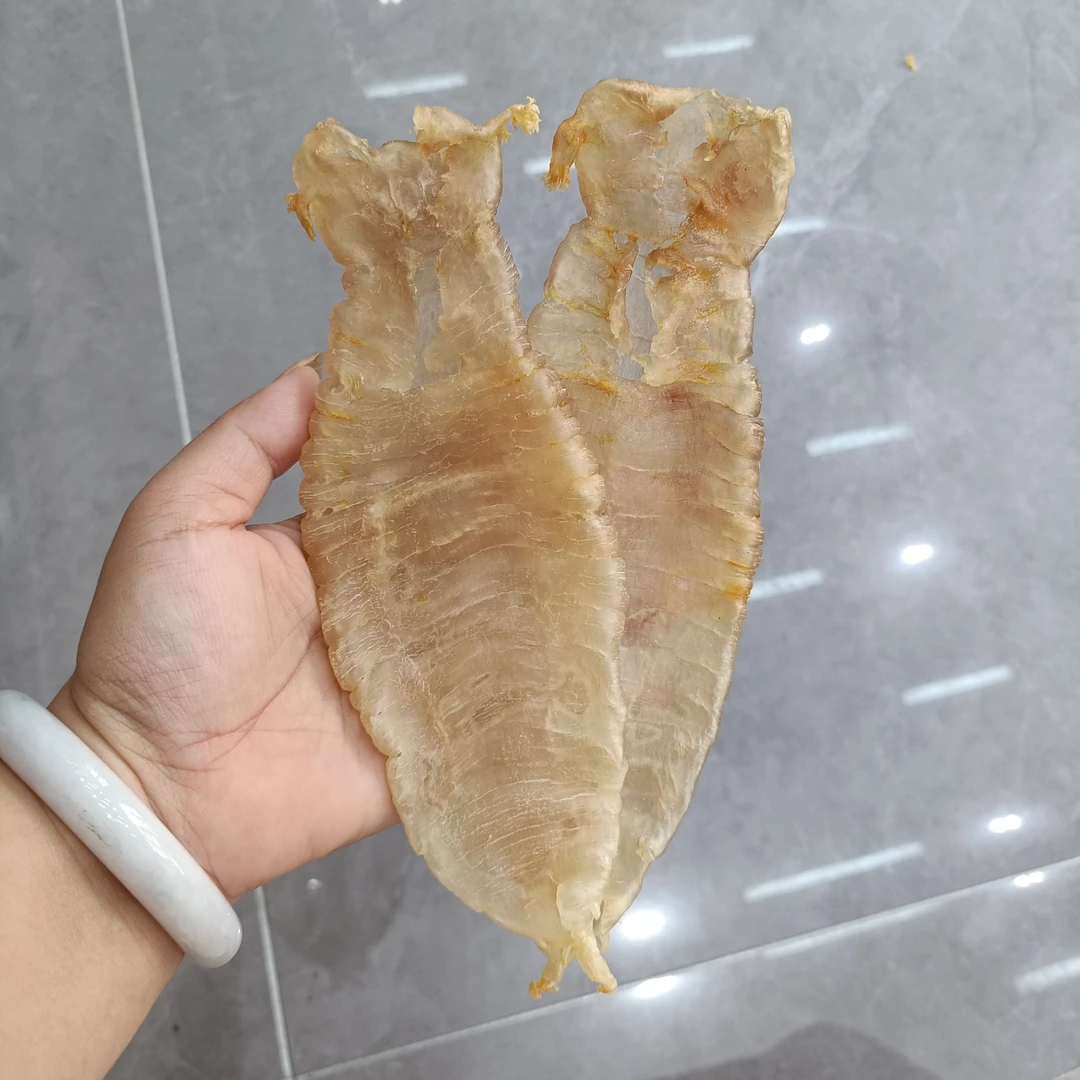 本港赤嘴母8头规格深海高品质花胶直播间称重